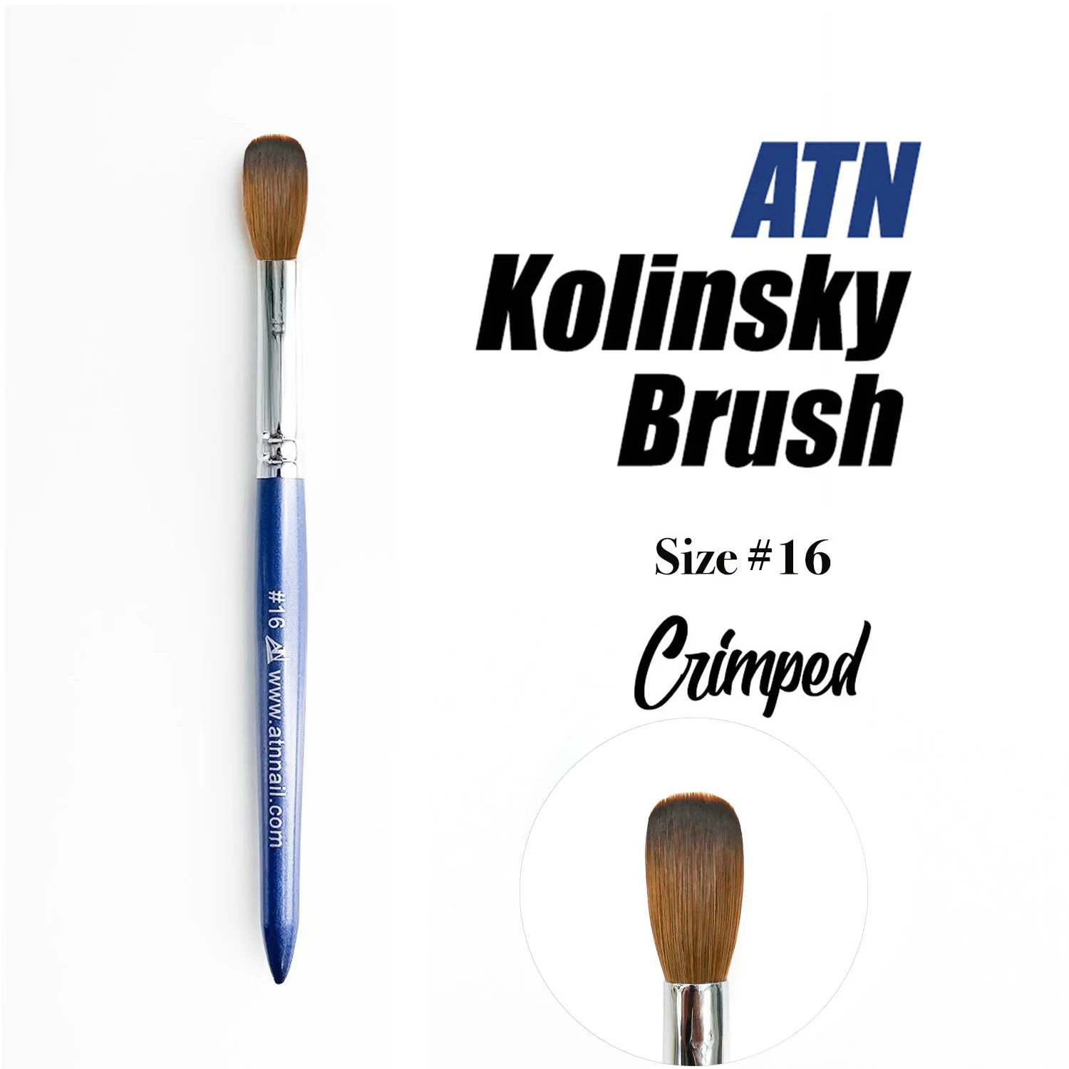 ATN Blue Acrylic Brush 12 - Image 10