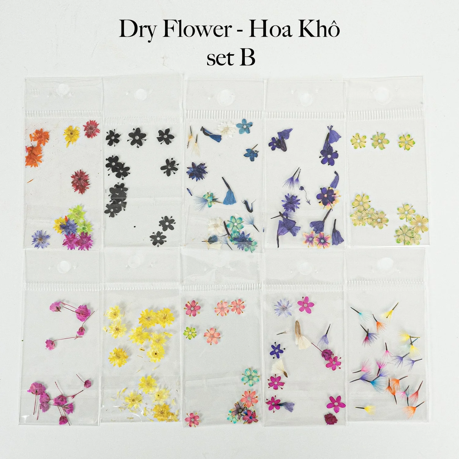 HOA KHÔ - DRY FLOWERS NAIL DESIGN | Pack 10 Mix - Image 2