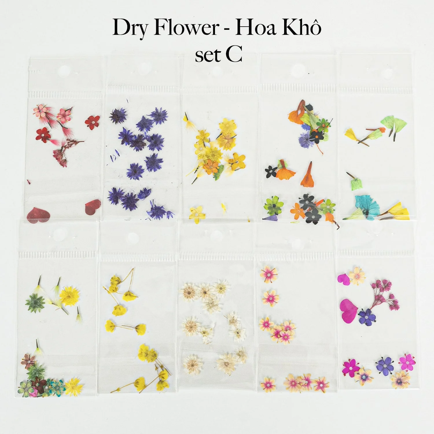 HOA KHÔ - DRY FLOWERS NAIL DESIGN | Pack 10 Mix - Image 3