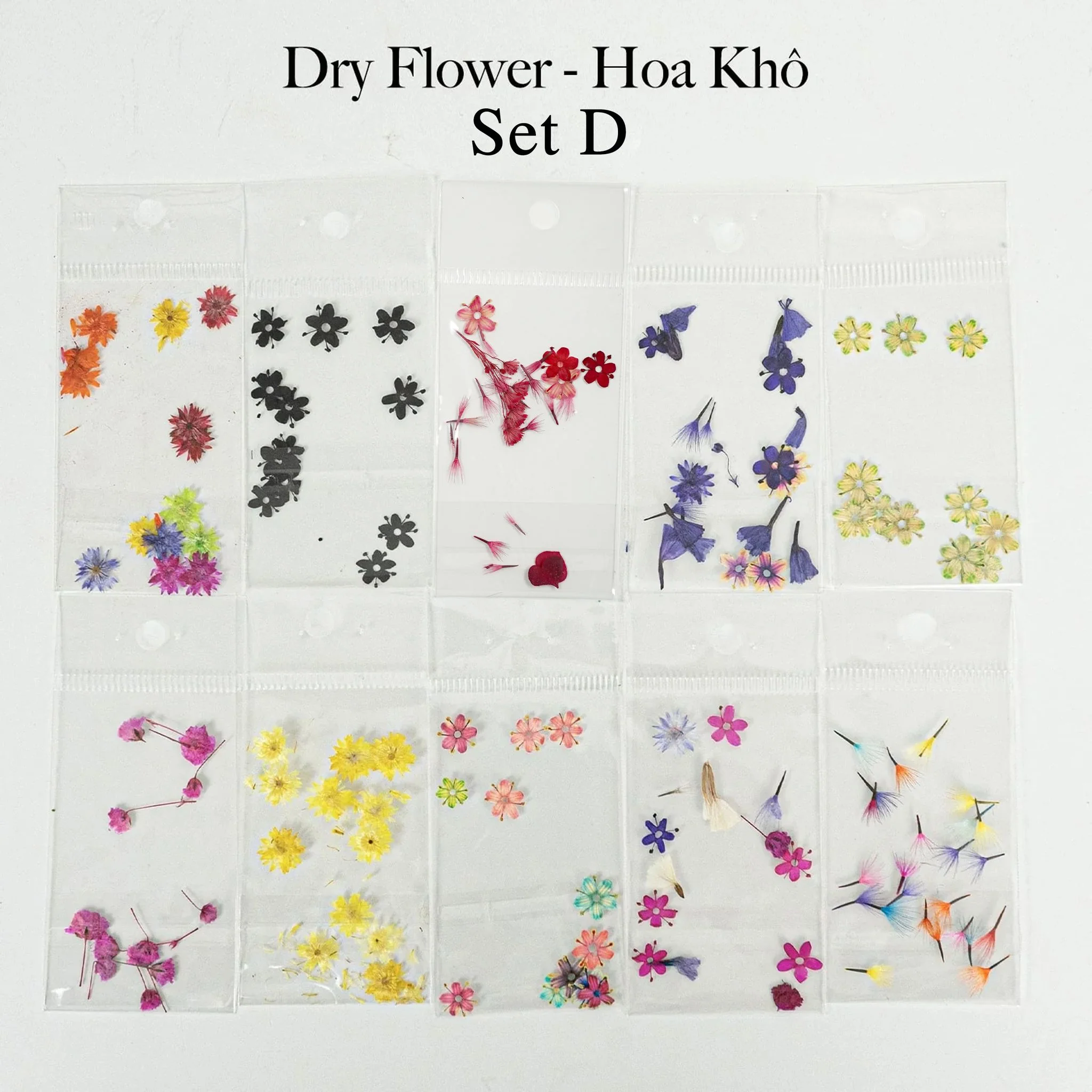 HOA KHÔ - DRY FLOWERS NAIL DESIGN | Pack 10 Mix - Image 4