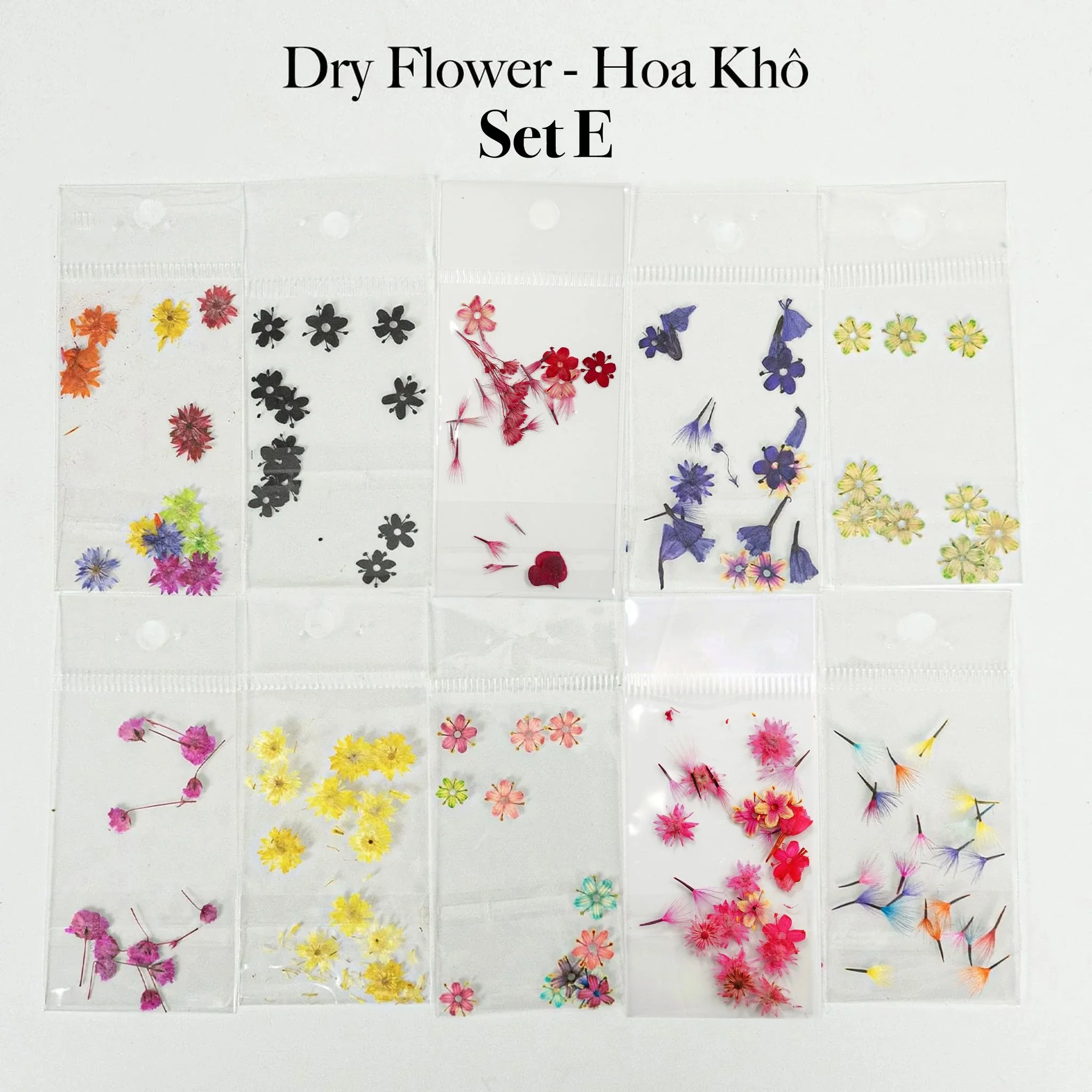 HOA KHÔ - DRY FLOWERS NAIL DESIGN | Pack 10 Mix - Image 5