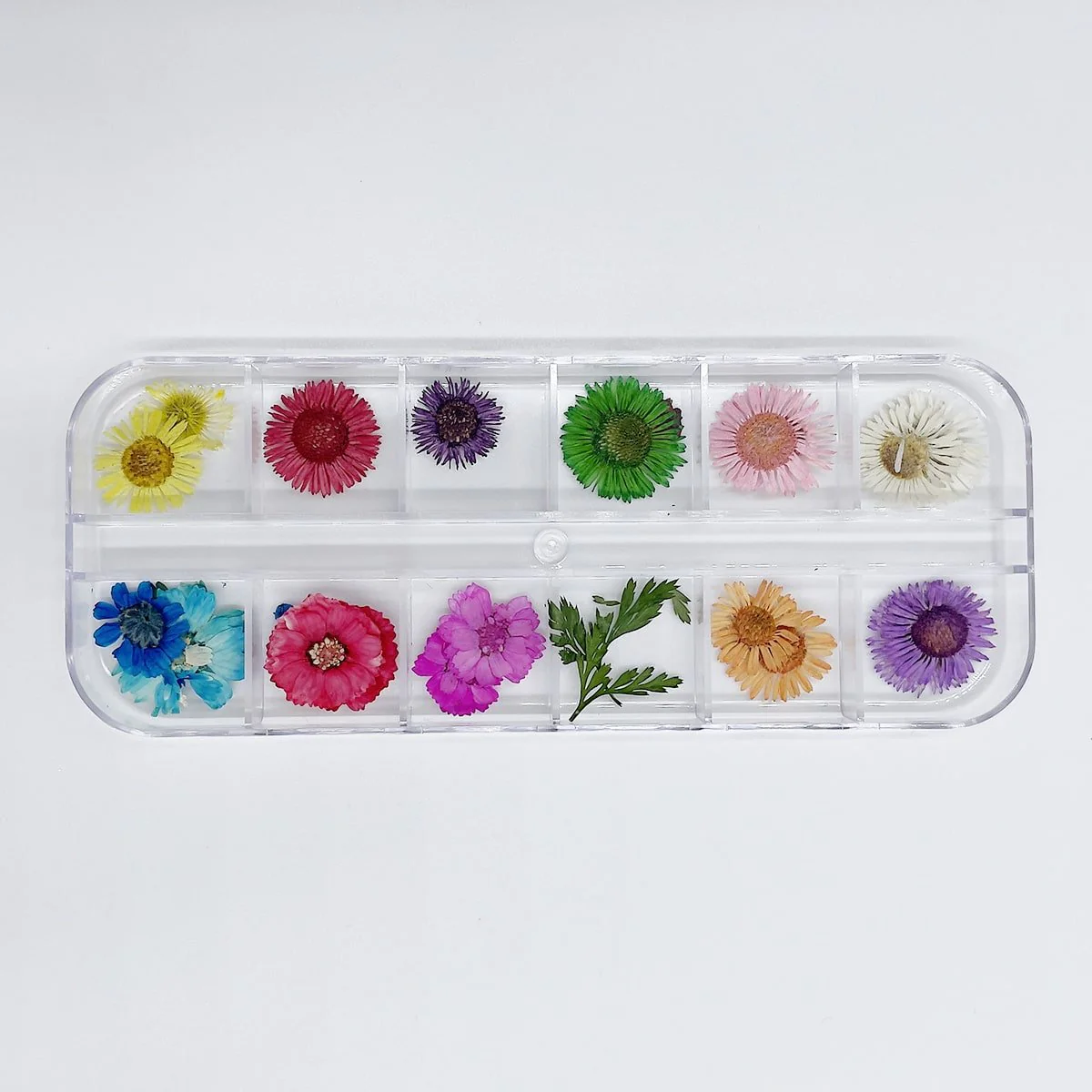 REAL DRIED FLOWERS - Image 3