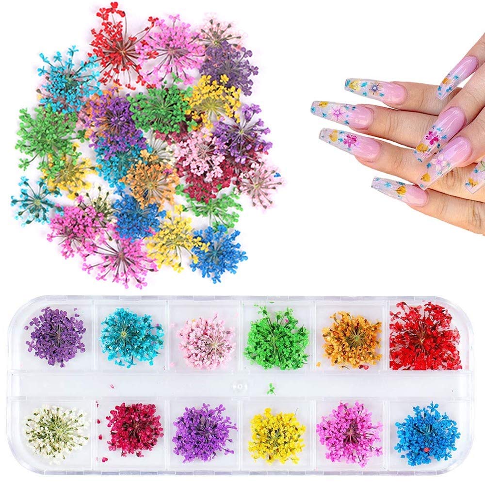 REAL DRIED FLOWERS - Image 5