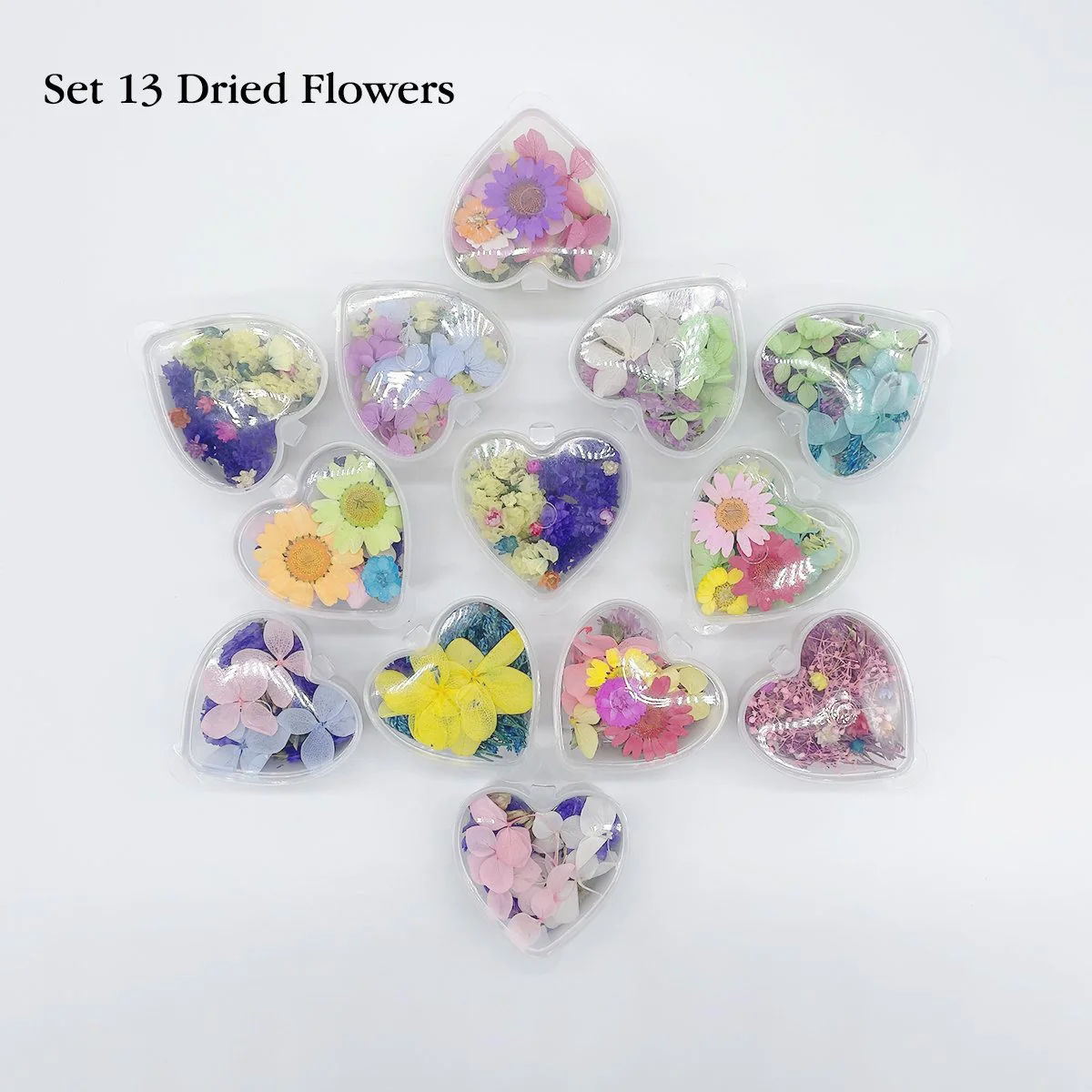 Set 13 Mixed Dried Flowers