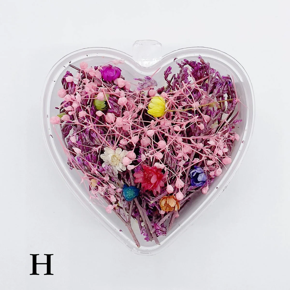 Set 13 Mixed Dried Flowers - Image 11