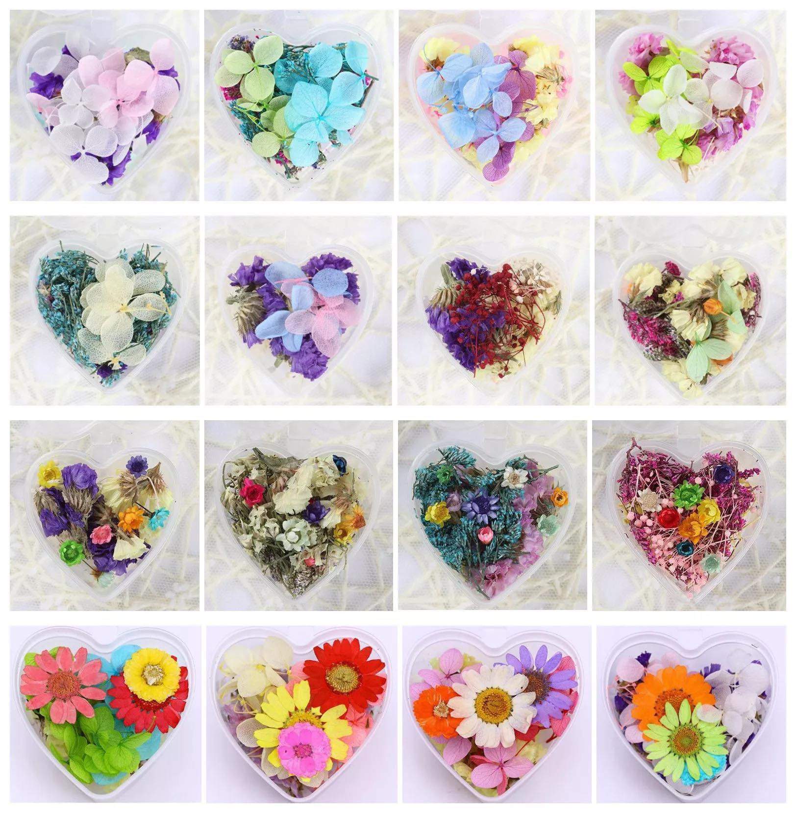 Set 13 Mixed Dried Flowers - Image 15