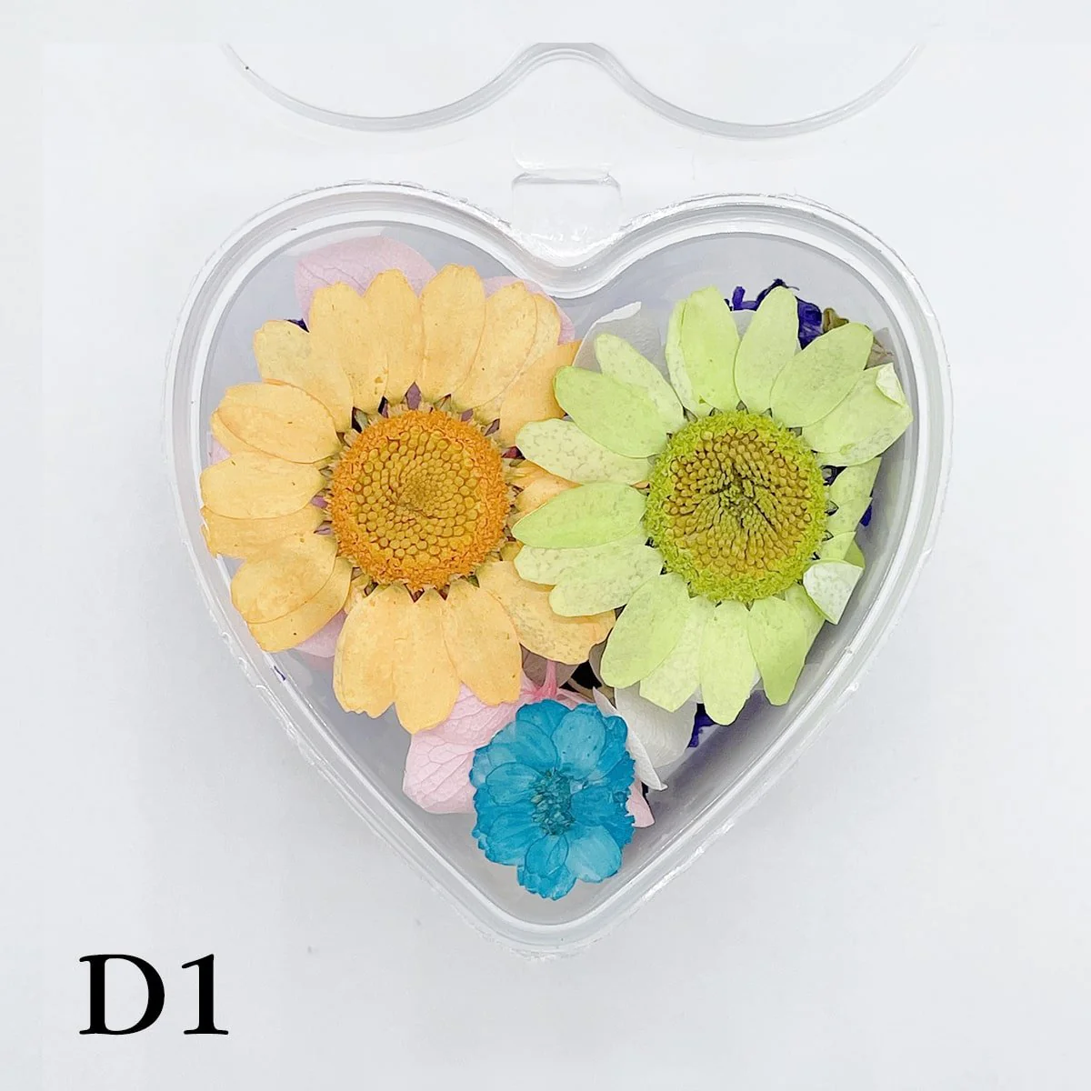 Set 13 Mixed Dried Flowers - Image 8